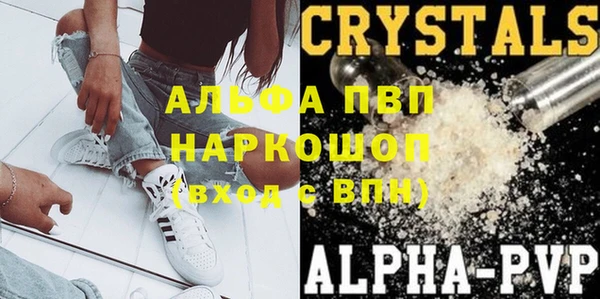 гидра Аркадак
